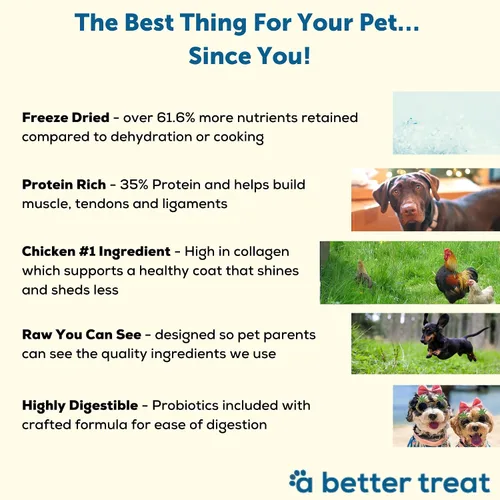Vista 3 de A Better Dog Food Alimento seco para perros con pollo Crudo que puedes ver croqueta alta en proteínas + alimento crudo liofilizado para perros