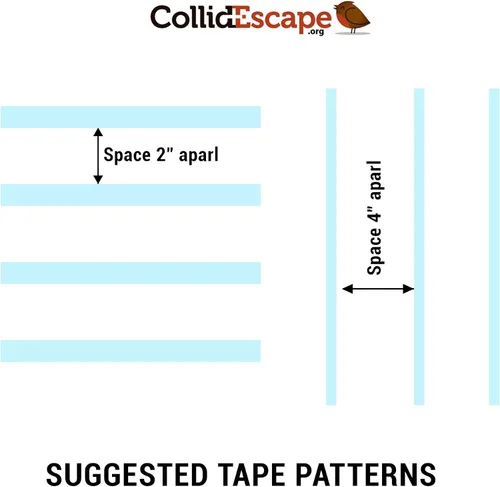 Vista 6 de COLLIDESCAPE Spiderweb - Cinta para Pájaros Transparente para Ventanas (3/4" x 20' - Cubre 1 a 2 paneles) Cintas Adhesivas para Pájaros