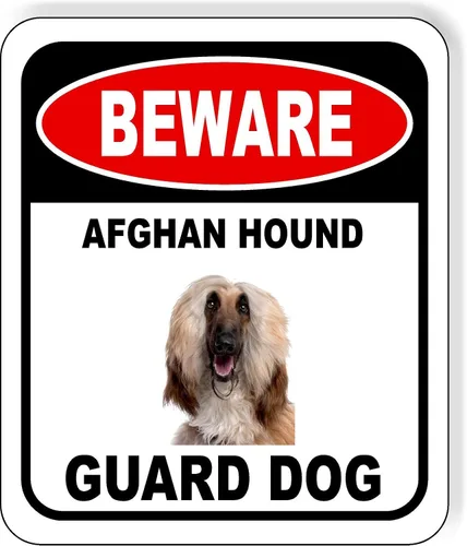 Vista 141 de BEWARE BASSETT HOUND GUARD DOG - Letrero compuesto de aluminio para exteriores, 8.5 x 10 pulgadas CUIDADO BASSETT HOUND GUARD PERRO
