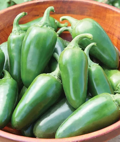 Vista 8 de Semillas de pimiento exótico para plantar - (pimienta de 5 colores)
