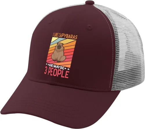 Vista 2 de devor Caps I Like Capybaras and Maybe 3 People Dad Hats, Graphic Baseball Cap for Women