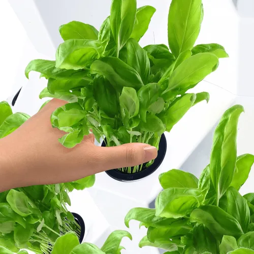 Vista 5 de Sistema de cultivo de torre hidropónica, equipo de granja hidropónico para hierbas, frutas y verduras de interior con adaptador de temporizador