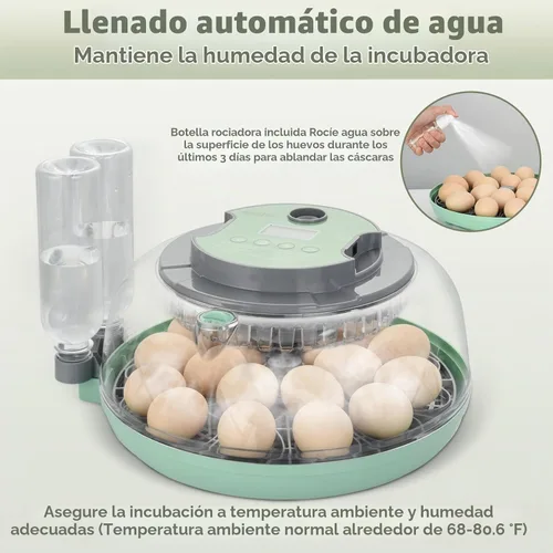 Vista 7 de Incubadora de 18 huevos con giro automático de huevos para incubar pollo codorniz pato