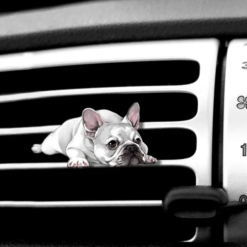 Vista 17 de WIRESTER Clip de ventilación con aroma fresco para automóvil, accesorios decorativos, decoración interior para autos