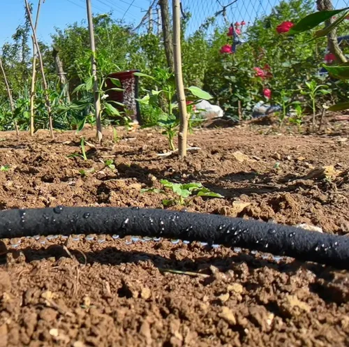 Vista 7 de Atlantic Manguera corta de remojo de 2 x 1/2 pulgadas, mangueras de agua para riego de cimientos, camas de jardín, jardín, césped y plantas.