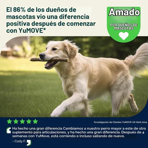 Vista 10 de YuMOVE Suplemento para articulaciones para perros mayores Glucosamina y Mejillón de labios verdes, glucosamina, ácido hialurónico y Omega 3