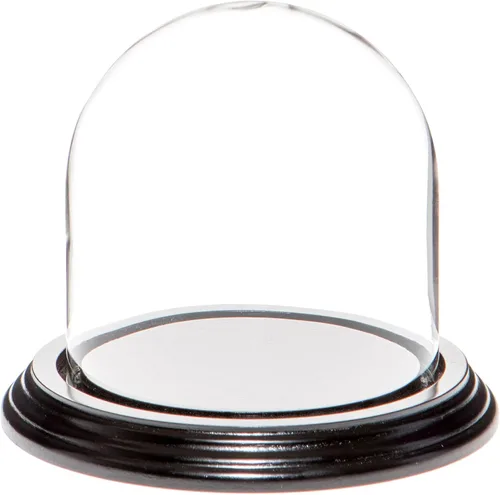 Vista 10 de Plymor Cúpula de cristal de 4 x 4 pulgadas (base de madera MDF negra)