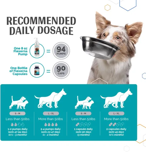 Vista 3 de Suplemento para articulaciones formulado por veterinarios con mejillón de labios verdes, aceite de pescado, Omega 3s y ácido hialurónico para apoyo