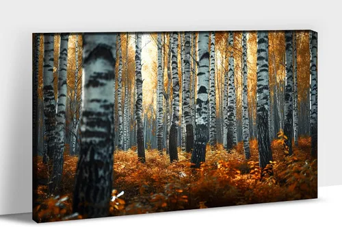 Vista 38 de UZMKM Lienzo decorativo de abedul para pared, pintura de bosque otoñal, imagen panorámica de paisaje, vista de la naturaleza amarilla, obra de arte
