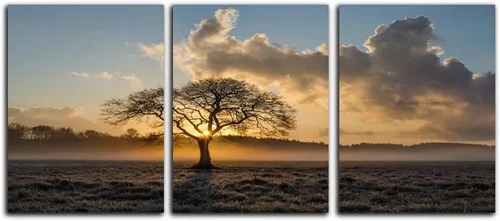 Vista 32 de 3 Paneles de Arte de Pared en Lienzo Inspiracional Enmarcado Moderno Pez Dorado Cuerpo Fuerte Corazón de Tiburón La Mentalidad lo es Todo Carteles