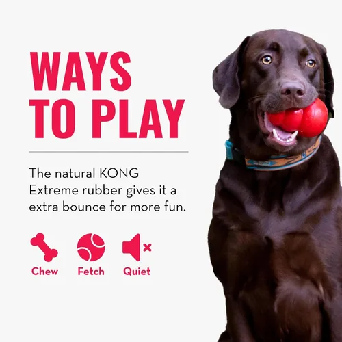 Vista 6 de KONG Bola extrema con agujero – Juguete de búsqueda – Juguete duradero para perros para entrenamiento, tiempo de juego interactivo y más – Pelota