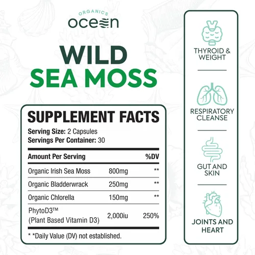 Vista 2 de Cápsulas de musgo marino salvaje orgánico de Organics Ocean - Musgo marino irlandés 100% orgánico con clorella orgánica, fucus y vitamina D