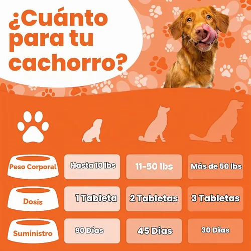 Vista 6 de Boneo Fórmula de mantenimiento canino - Suplemento para huesos y articulaciones a base de lactoferrina para perros, 90 tabletas masticables, sabor a