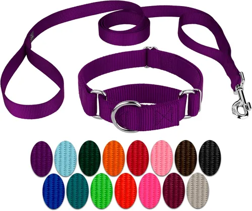 Vista 14 de Country Brook Design - Collar de perro de nailon Martingale y correa de doble asa-Negro-S