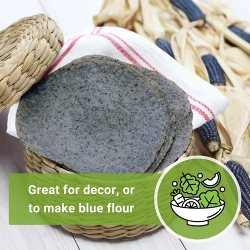 Vista 5 de Sow Right Seeds - Semilla de Maíz Azul Hopi para plantar - Paquete de reliquia sin OMG con instrucciones para plantar y cultivar un jardín