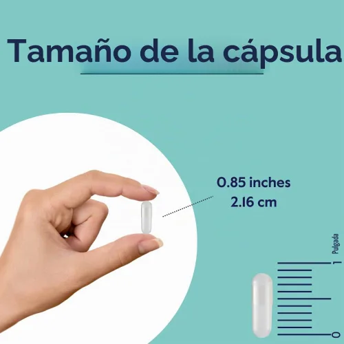 Vista 6 de BESTVITE Benfotiamina 300mg (60 cápsulas vegetales) - Sin estearatos