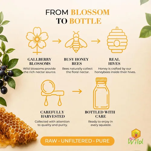 Vista 3 de Bee Wild 100% Pure Raw Honey - Gallberry 12 onzas