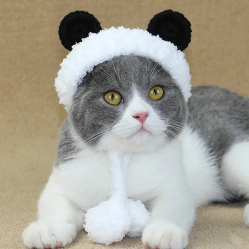 Vista 5 de POPETPOP Disfraz de oso panda para perro, calentador de cuello y diadema protector para gato y perro, talla S