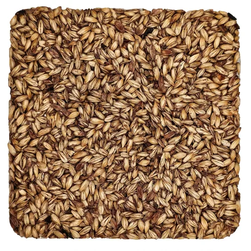 Vista 7 de Briess 26-QVZH-HVSI Grano de malta de cerveceros estadounidenses para elaboración de cerveza y cerveza casera 1 lb. (2 filas de cerveceros), marrón