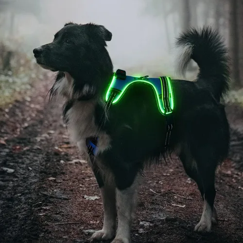 Vista 7 de Arnés de seguridad LED para perro, chaleco con luz para perro, arnés sin tirones, arnés recargable brillante para mascotas para caminar por la noche