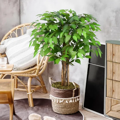 Vista 4 de Árboles artificiales de ficus de 3 pies con troncos naturales curvados, árbol exuberante de 36" de altura, árbol falso de ficus realista en verde