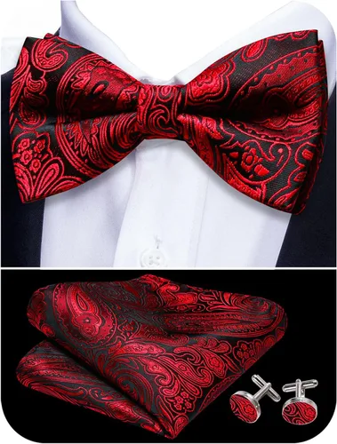 Vista 31 de Barry.Wang Pajarita de Rayas Paisley para Hombre de Seda Preatada Pañuelo de Bolsillo Gemelos Juego Formal Boda Fiesta Graduación