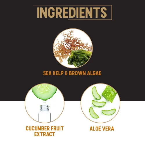 Vista 5 de Woody's Champú, acondicionador y gel de baño 3 en 1 para hombre, tamaño de viaje, limpiador refrescante multiusos esencial de aseo personal, 1.7