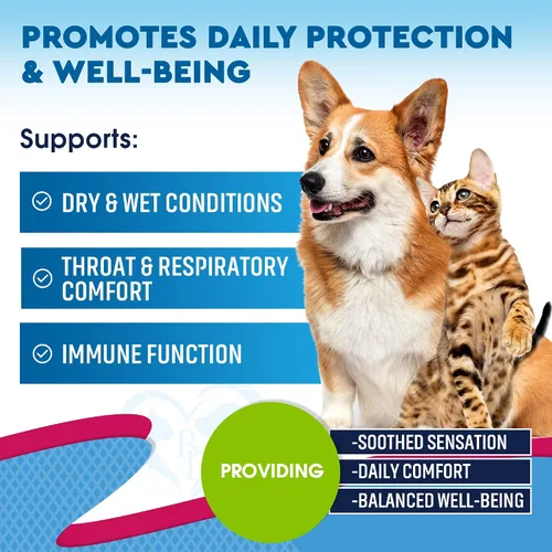 Vista 2 de Tratamiento para la tos de perrera y medicina natural para infecciones para perros y gatos - Alivio respiratorio y para la tos fría - Colapso