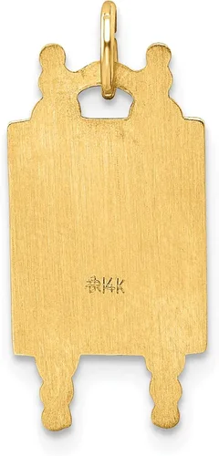 Vista 4 de Avariah Colgante de oro amarillo pulido de 14 k con estrella de David esmaltada y Torá maciza, 0.866 in, Oro, no conocido