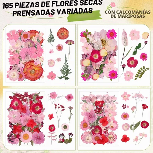 Vista 3 de 160 piezas de flores secas prensadas a granel natural, rosa, rosa