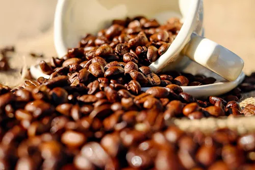 Vista 5 de Organic Morning Star, 12 oz. Grano entero (paquete de 2)