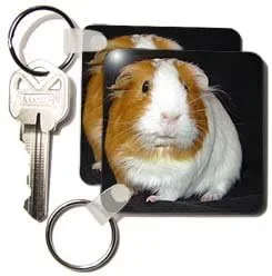 Vista 2 de 3dRose - Guinea Pig - Juego de 2 llaveros kc_1061