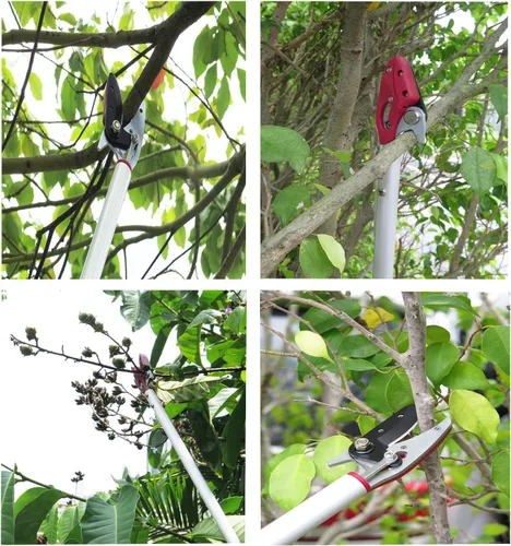 Vista 5 de Podadora de largo alcance de 2 pies y recolector de frutas con función de corte y sujeción, poste de aluminio ligero de 0.7 libras con cabezal