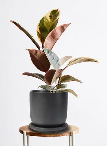Vista 4 de Serene Spaces Living Maceta grande de cerámica negra mate con agujeros de drenaje y platillo para plantas y flores, macetas decorativas