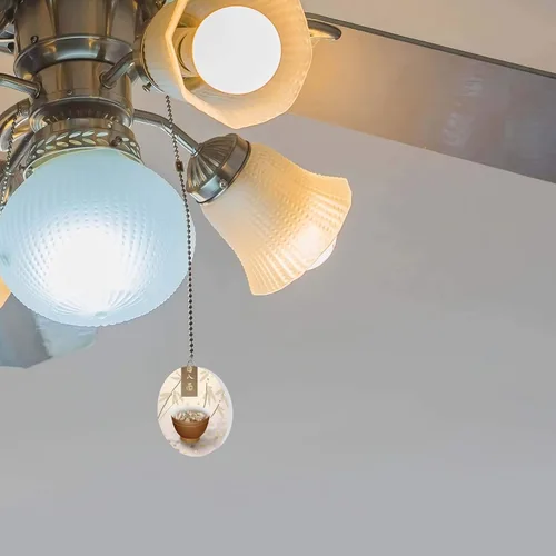 Vista 2 de Ventilador de bambú de fideos asiáticos/luz