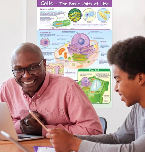 Vista 4 de NewPath Learning-34-6101 Póster de Células - Laminado, A Todo Color, 23" x 35
