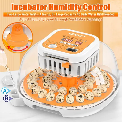 Vista 6 de 36 incubadoras de codorniz para incubar huevos, incubadora de huevos de codorniz con giro automático de huevos y control de humedad, control