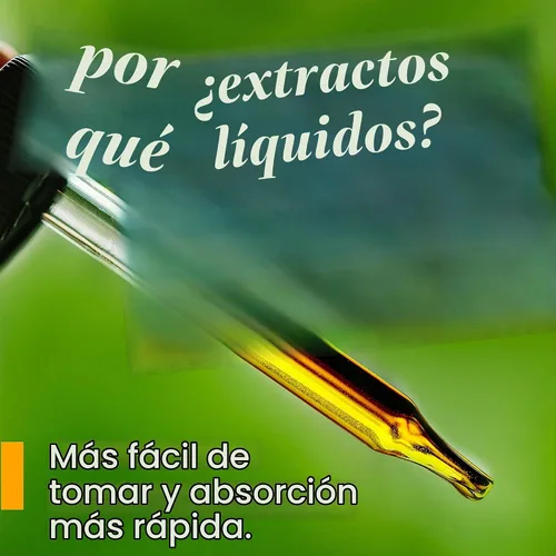 Vista 5 de Herb Pharm Gotas de extracto líquido de motherwort orgánico certificado para soporte del sistema endocrino, 1 onza