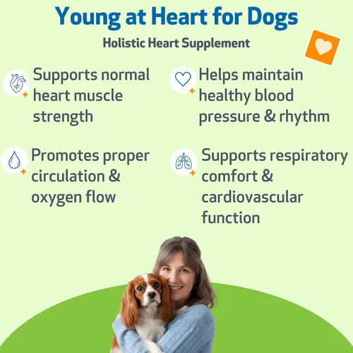 Vista 2 de Pet Wellbeing Young at Heart para perros - Apoyo a la salud cardíaca para personas mayores, bienestar cardiovascular con espino y agripalma