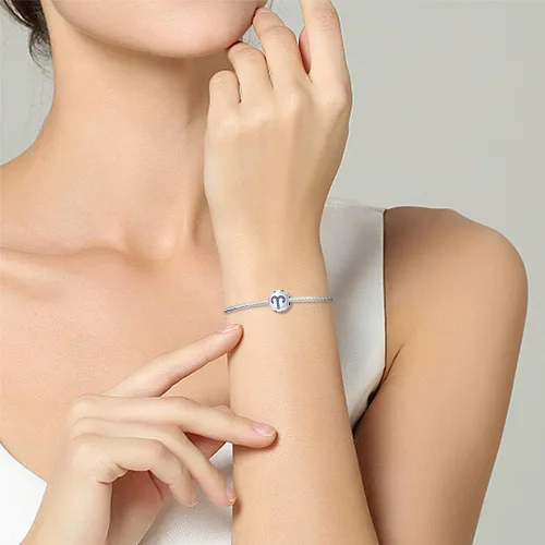 Vista 71 de Pandach 12 dijes de cumpleaños con signo del zodiaco de plata de ley 925 con piedra natal para mujer, pulsera, collar, pulsera, regalo para mujeres