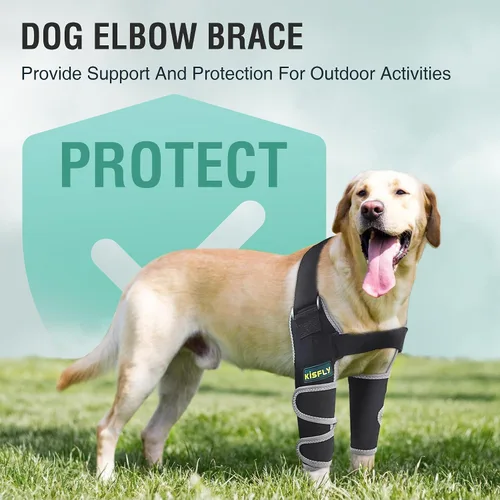 Vista 7 de Protector de codo para perro para codo canino y hombro, callos de codo, llagas por presión y dislocación de hombro, coderas para perros para evitar