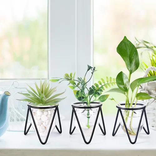 Vista 4 de Jspupifip Terrario de plantas de vidrio de 3 piezas con soporte de metal