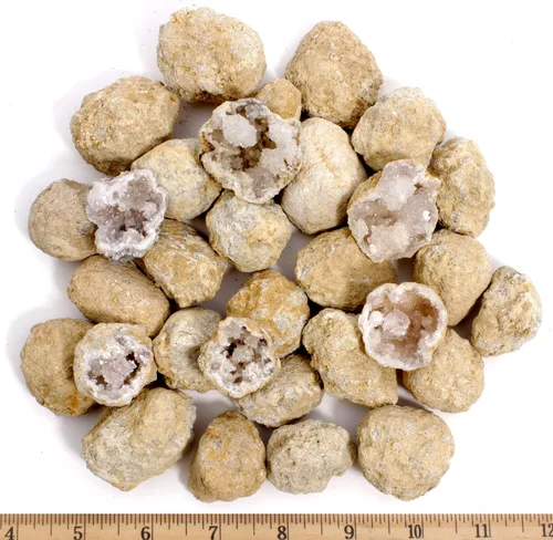 Vista 9 de DANCING BEAR 25 Rompe tus propias geodas, (Mediana 1-1.5") 90% hueca, ¡Abre y descubre asombrosos cristales sorpresa dentro! Información educativa e