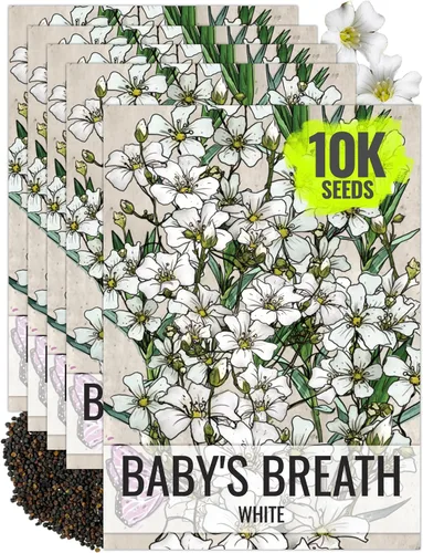 Vista 9 de Seed Needs Semillas de aliento de bebé rosa para plantar flores anuales, 1 paquete
