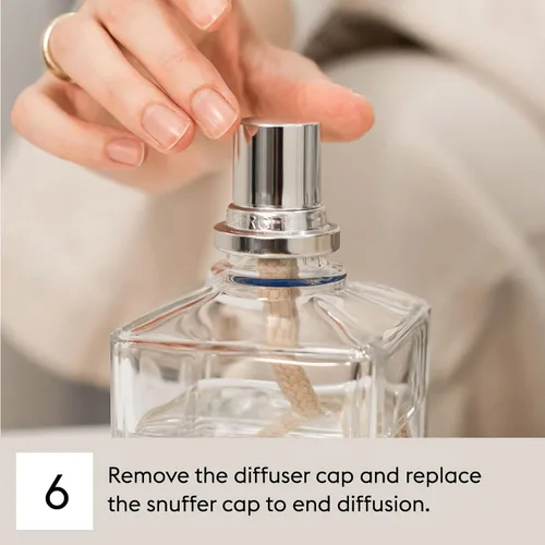 Vista 8 de MAISON BERGER Lampe Berger Recambio, 16.9 fl oz, Amber's Sun Catalytic Lamp Fragrance Refill, Helps Neutralize Odors, ~80 h Fragrance Diffusion