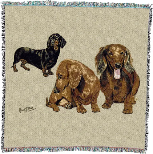 Vista 16 de Pure Country Weavers Robert May - Manta cuadrada para regazo de sabuesos afganos, regalo para los amantes de los perros, manta de tapiz tejida