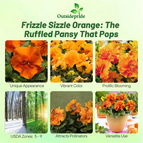 Vista 2 de Outsidepride Frizzle Sizzle - Semillas de pensamiento de viola naranja para plantar, 50 unidades. Flores bienales, resistentes al frío y aptas