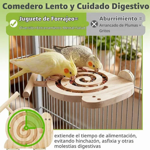 Vista 2 de Bird - Juguetes de forrajeo con perca, para principiantes, mayores