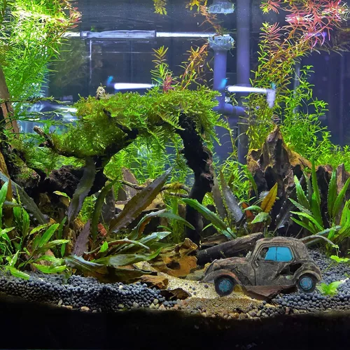 Vista 6 de Mipcase Paisajismo Escondite Acuario Paisaje Tanque Peces Camarones Decoración Ornamento Gris Cabaña Cuevas Decoración Escondite Adornos Automóvil
