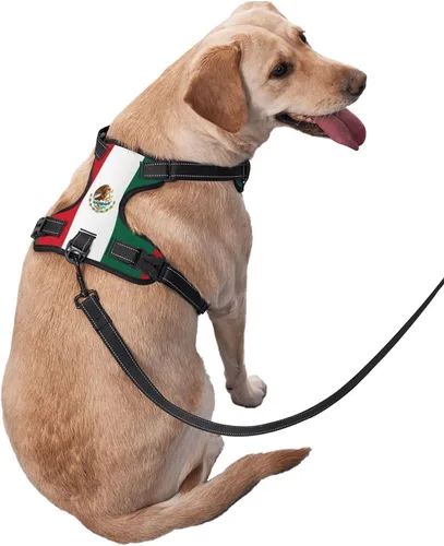 Vista 4 de Arnés para perro con bandera de México, chaleco acolchado suave para perros, chaleco ajustable para perros pequeños, medianos y grandes